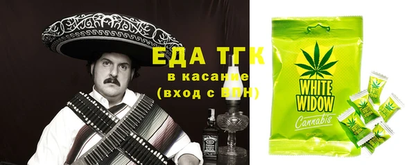 ECSTASY Алзамай