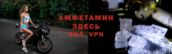 ECSTASY Алзамай